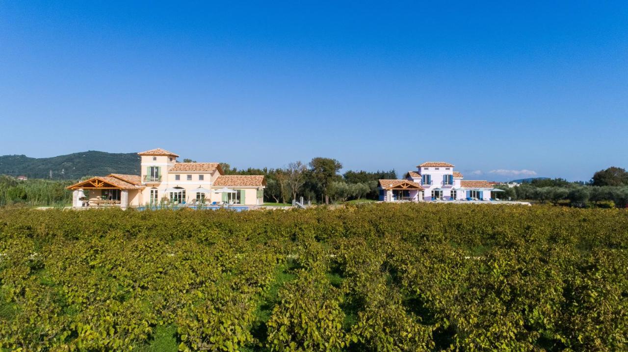 Aneli Luxury Villas - Villa Semeli Áyios Kírikos Bagian luar foto